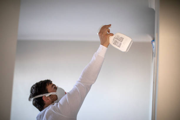 Best Residential Mold Removal  in Woodbury Heights, NJ