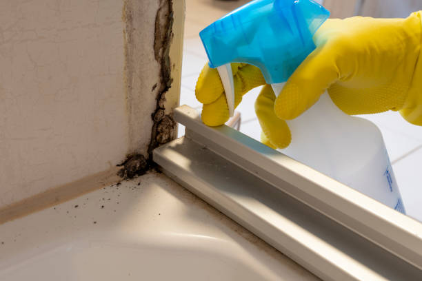 Crawl Space Mold Removal in Woodbury Heights, NJ