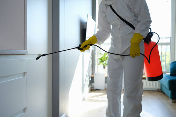 Best Mold Cleaning Services  in Woodbury Heights, NJ
